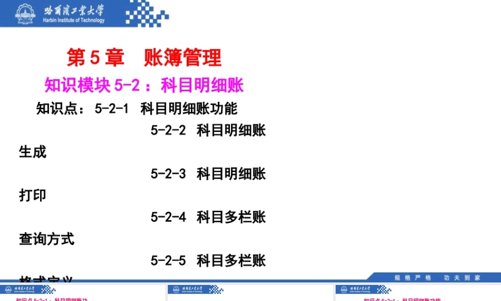 (093)5.2.1：科目明细账功能.pptx