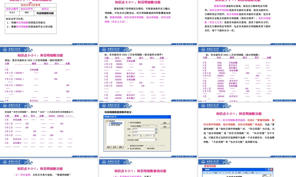 (093)5.2.1：科目明细账功能.pptx