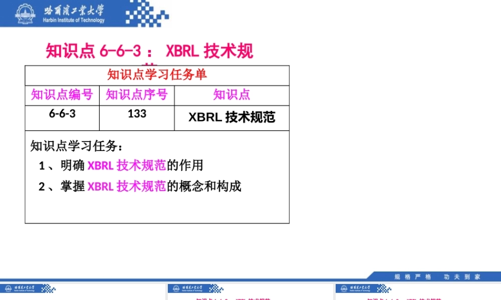 (133)6.6.3：XBRL技术规范.pptx