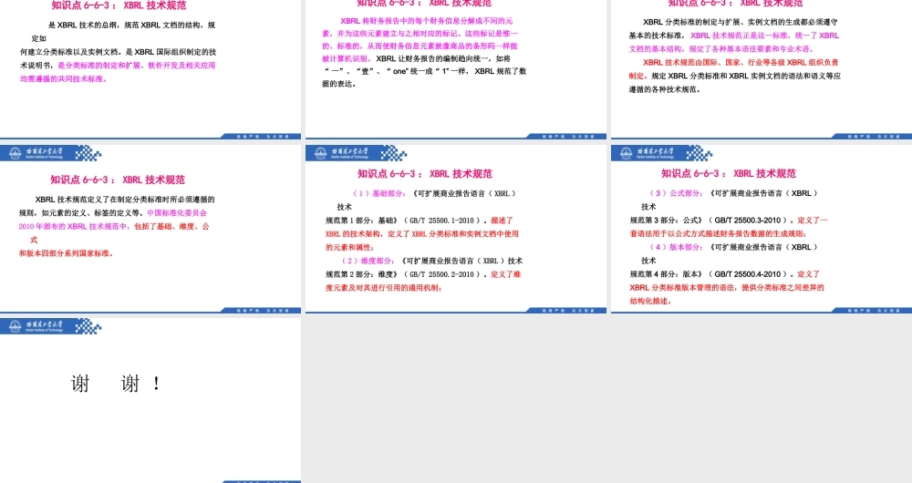 (133)6.6.3：XBRL技术规范.pptx