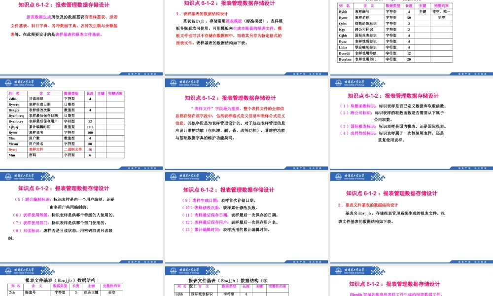 (118)6.1.2：报表管理数据存储设计.pptx