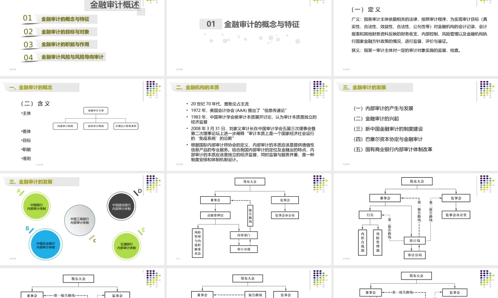 第01章 金融审计概述.ppt