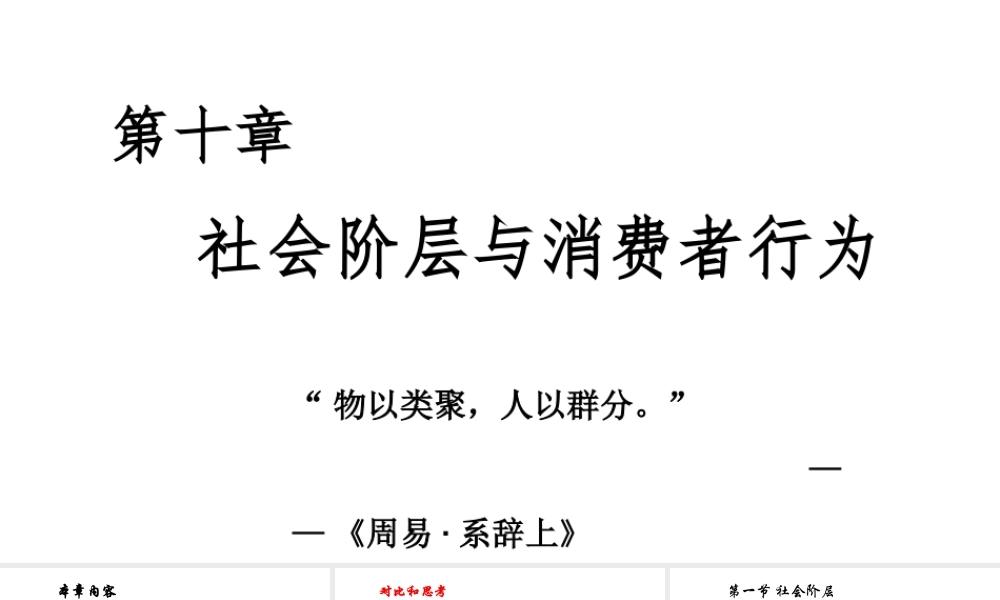 第10章 社会阶层与消费行为.pptx
