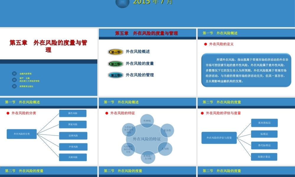 第05章外在风险的度量与管理.ppt