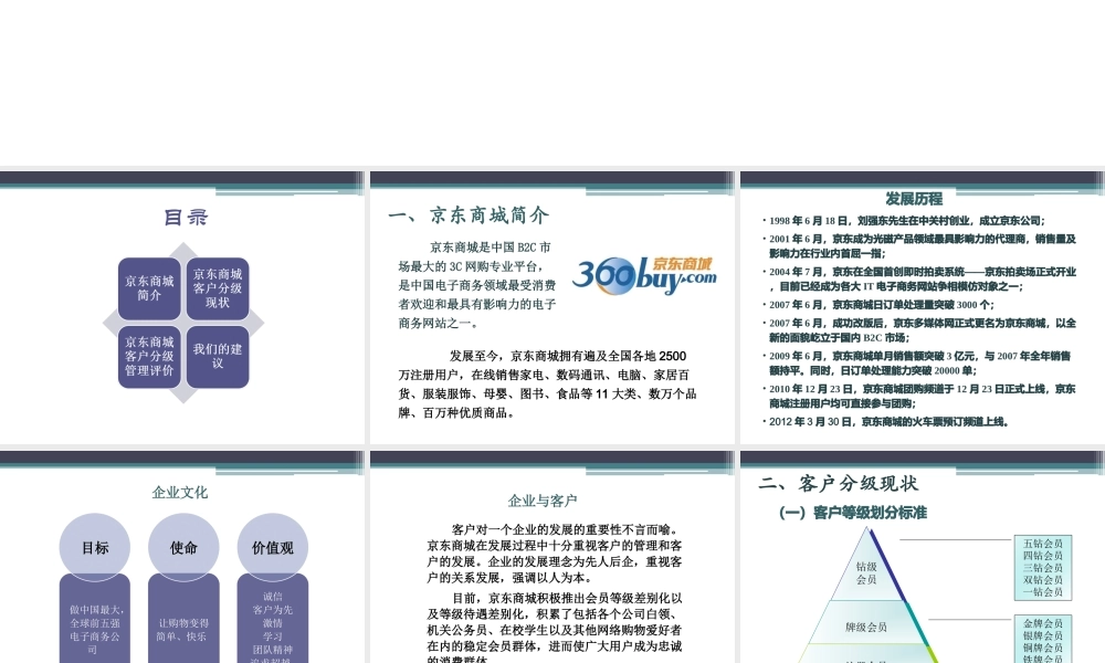 分级：京东商城.ppt