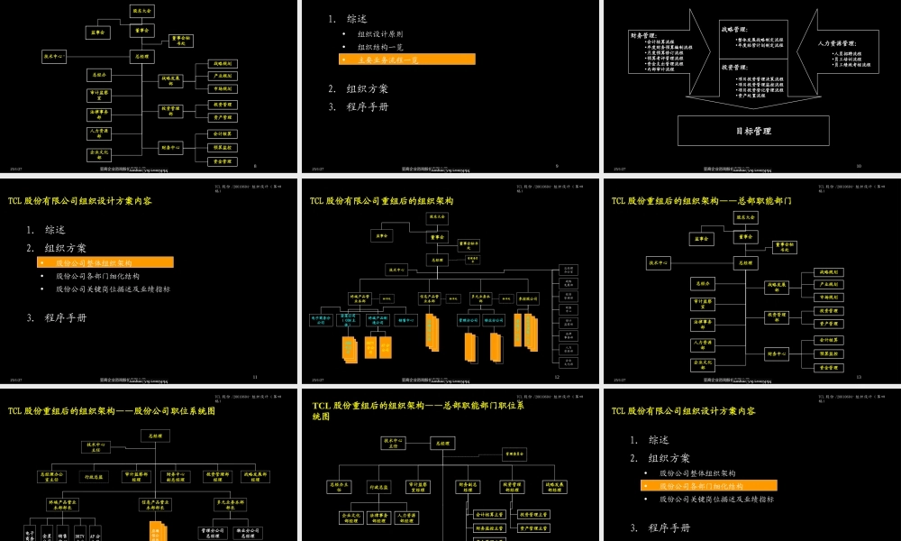 麦肯锡 - TCL股份组织结构设计方案.ppt