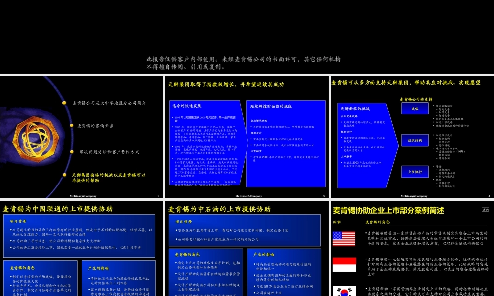 麦肯锡2003年7月最新战略设计和首次上市咨询报告.ppt