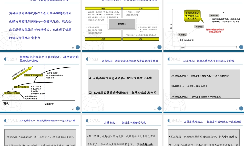 迈尔咨询-恒顺醋业品牌发展战略项目建议书.ppt