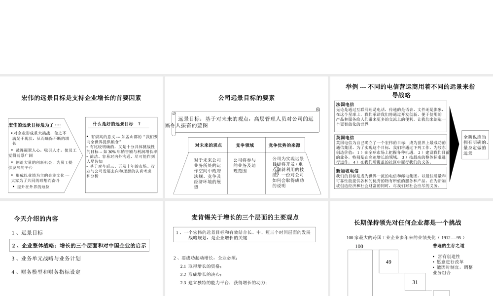麦肯锡-战略讲稿.ppt