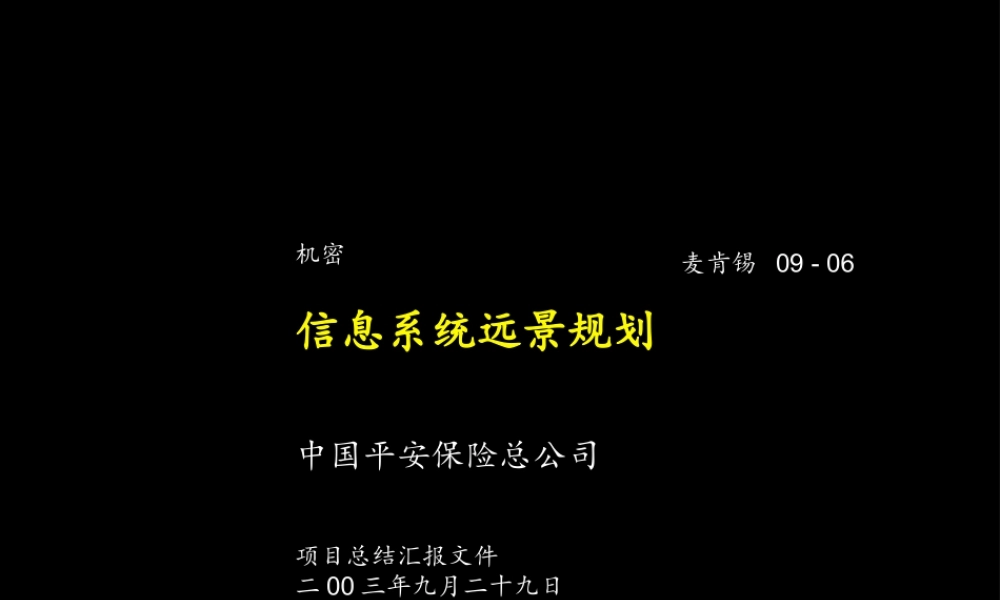 平安保险信息系统远景规划(1).ppt