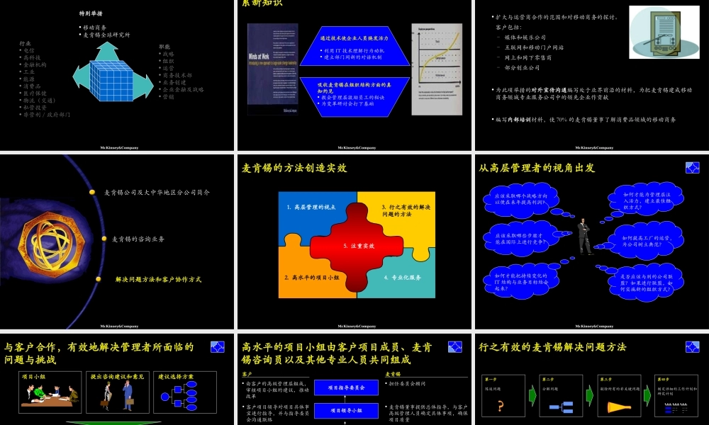 麦肯锡自我介绍第2部分.ppt