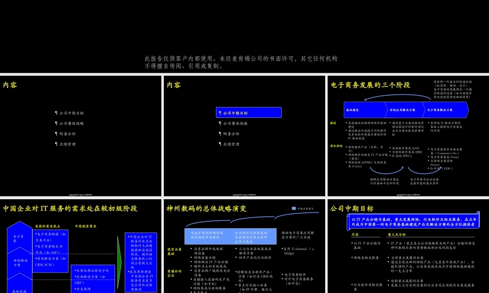 神州数码公司战略(2).ppt