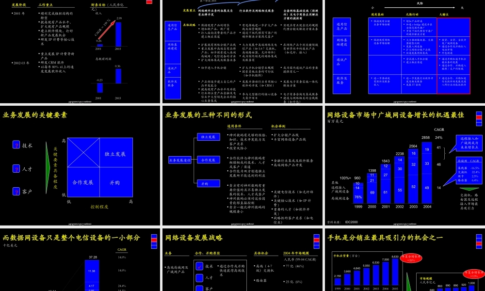 神州数码公司战略(2).ppt