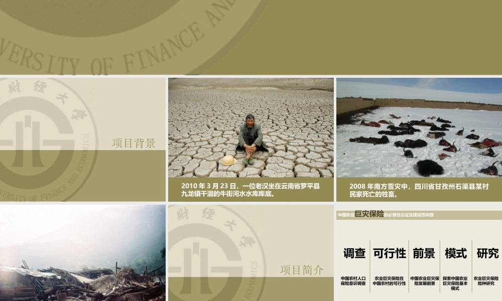 中国农业巨灾保险的必要性论证及建设性构想 @曹将PPTao @华盛顿推倒樱桃树.ppt