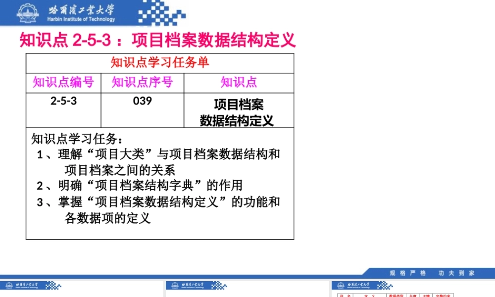 (039)2.5.3：项目档案数据结构定义.pptx
