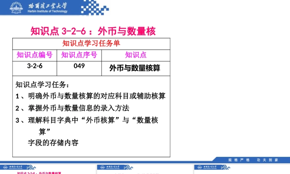 (049)3.2.6：外币与数量核算.pptx