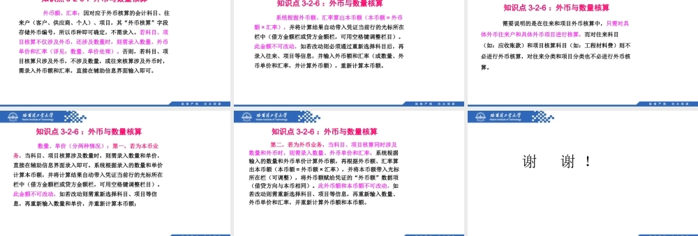 (049)3.2.6：外币与数量核算.pptx