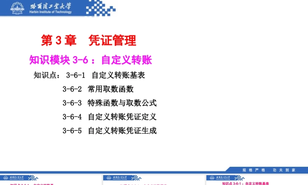 (059)3.6.1：自定义转账基表.pptx