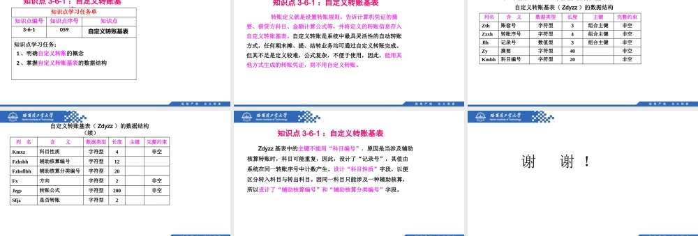 (059)3.6.1：自定义转账基表.pptx