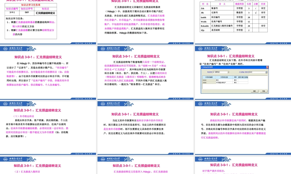 (069)3.9.1：汇兑损益结转定义.pptx