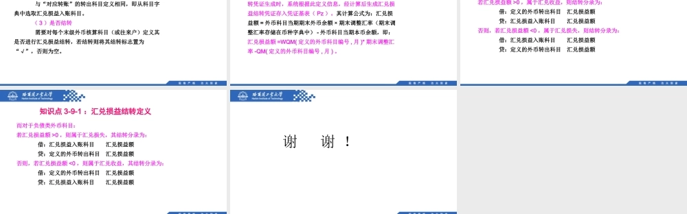 (069)3.9.1：汇兑损益结转定义.pptx