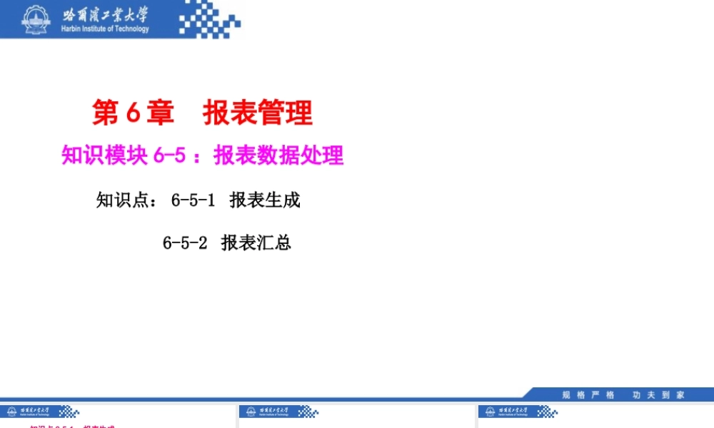 (129)6.5.1：报表生成.pptx