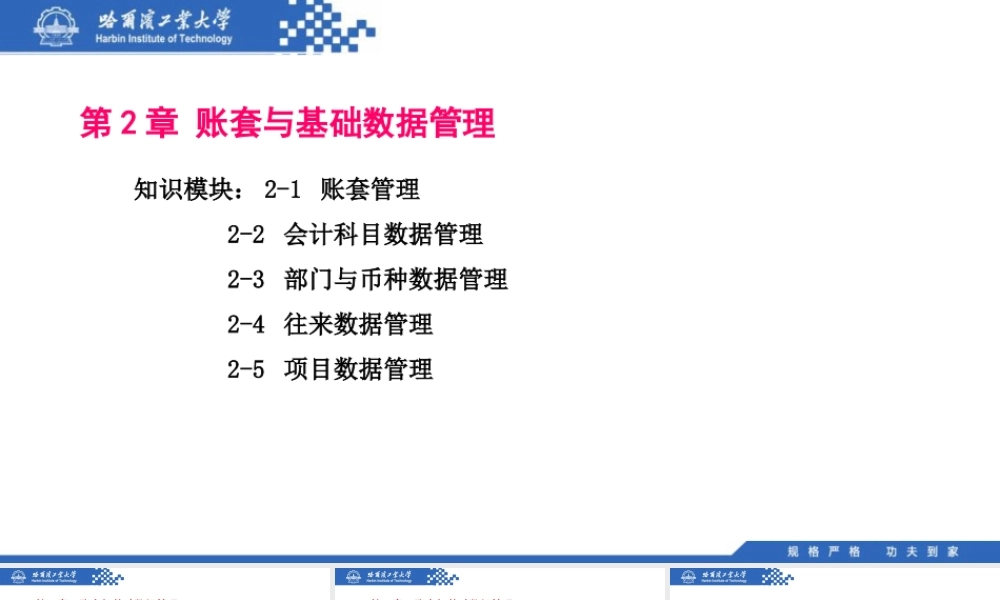 (025)2.1.1：账套字典.pptx