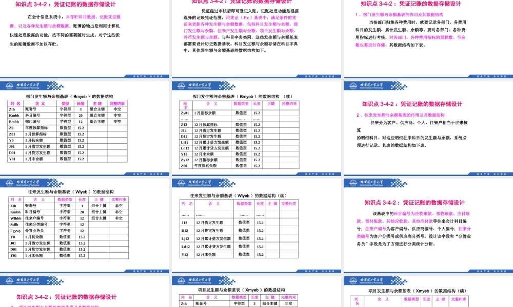 (055)3.4.2：凭证记账的数据存储设计.pptx