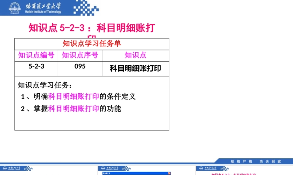 (095)5.2.3：科目明细账打印.pptx