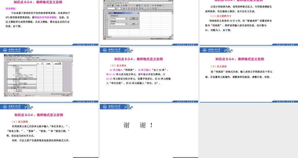 (125)6.3.4：表样格式定义实例.pptx