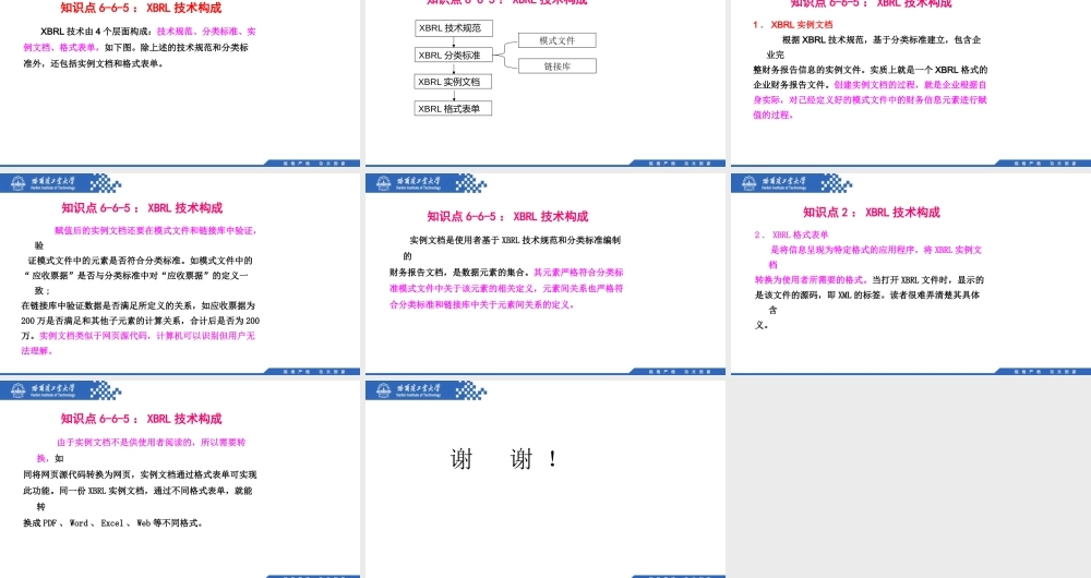 (135)6.6.5：XBRL技术构成.pptx