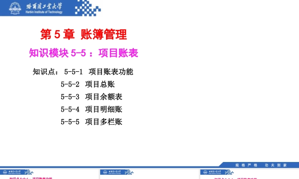 (112)5.5,1：项目账表功能.pptx