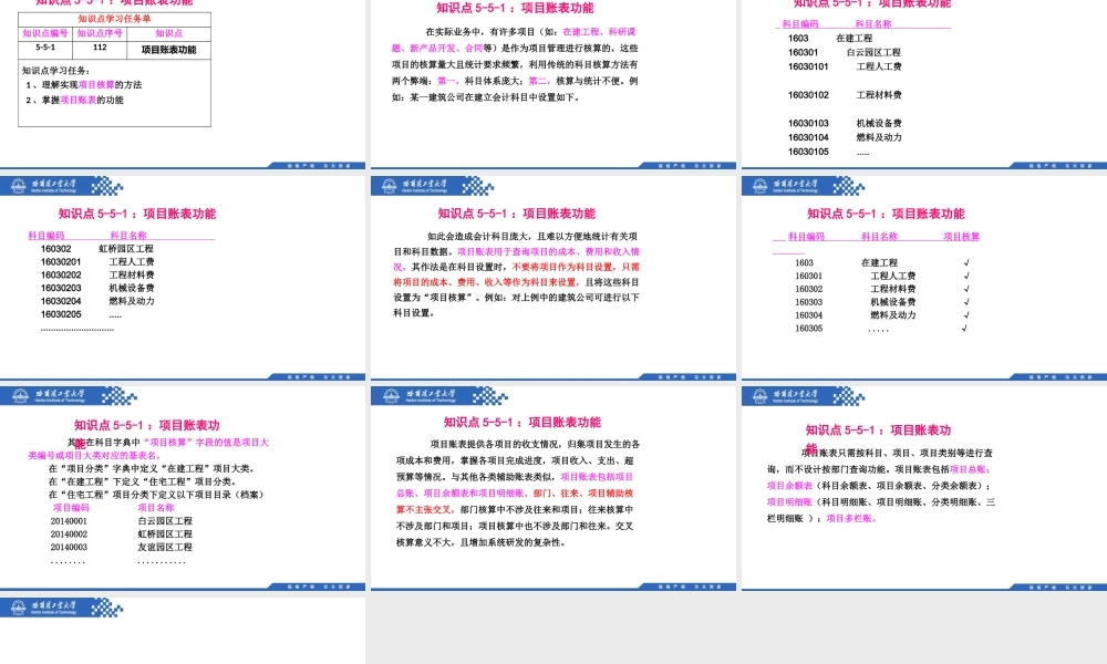 (112)5.5,1：项目账表功能.pptx