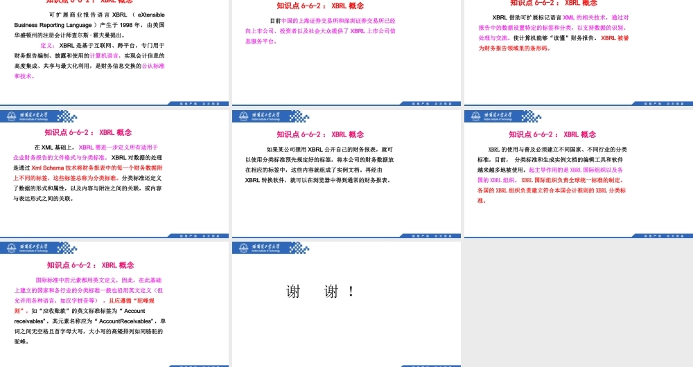 (132)6.6.2：XBRL概念.pptx