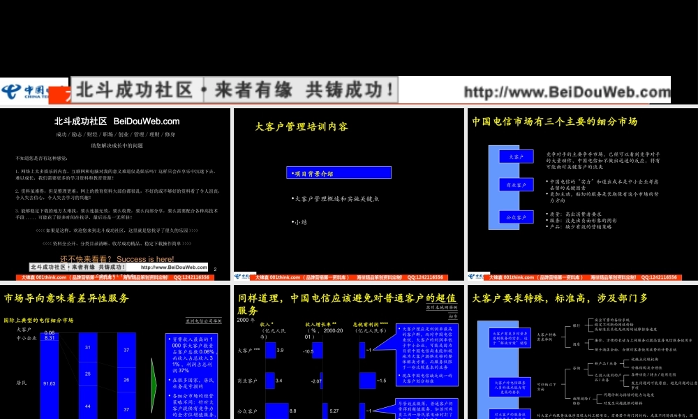 麦肯锡 中国电信大客户培训战略报(2).ppt