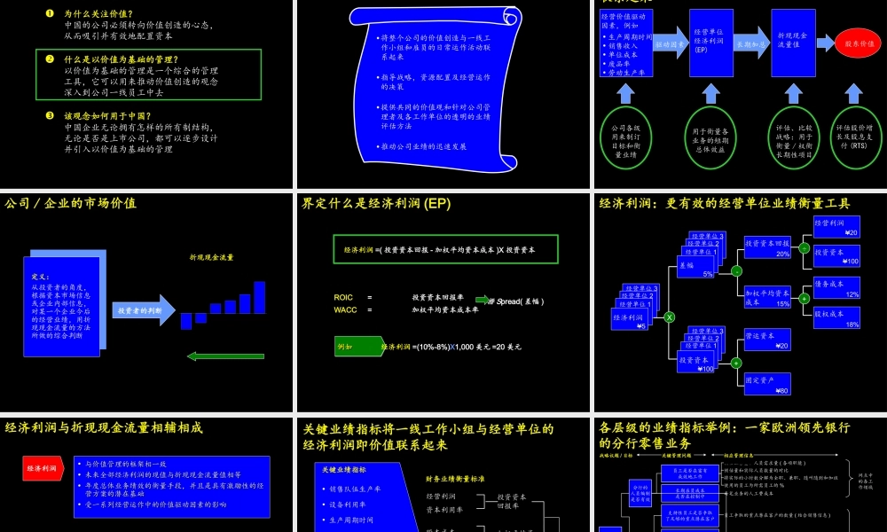 神州数码-建立成功的财务管理体系(1).ppt
