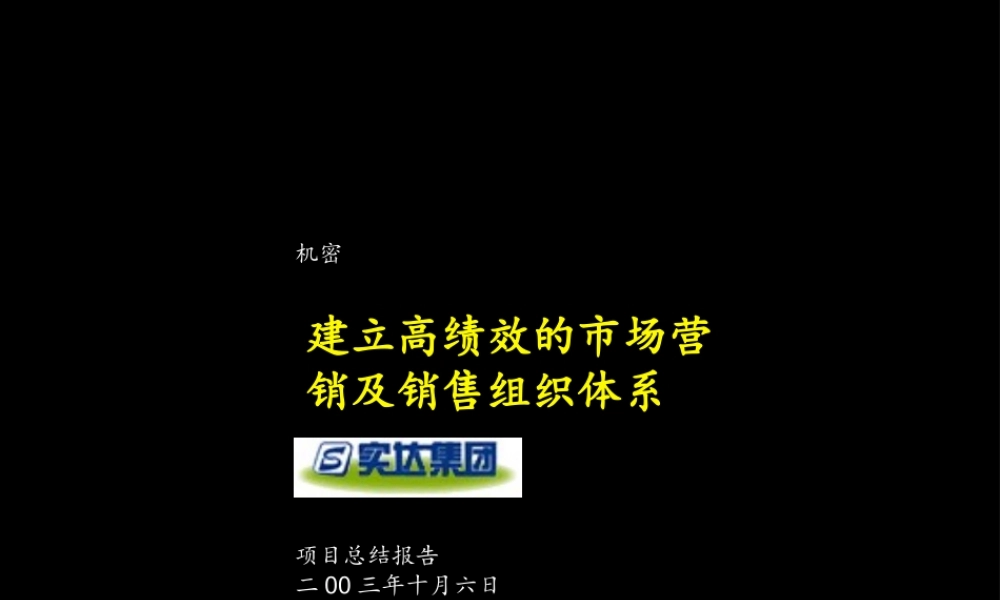实达建立高绩效的市场营销及销售组织体系项目总结报告(1).PPT