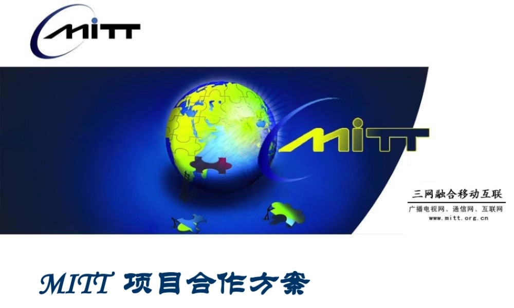 项目合作方案.ppt