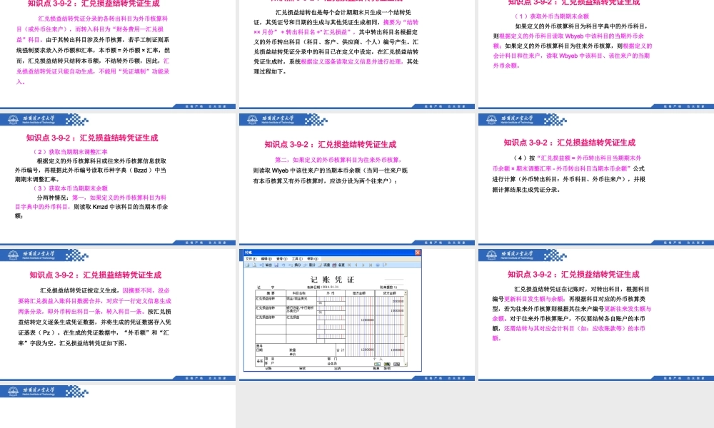 (070)3.9.2：汇兑损益结转凭证生成.pptx