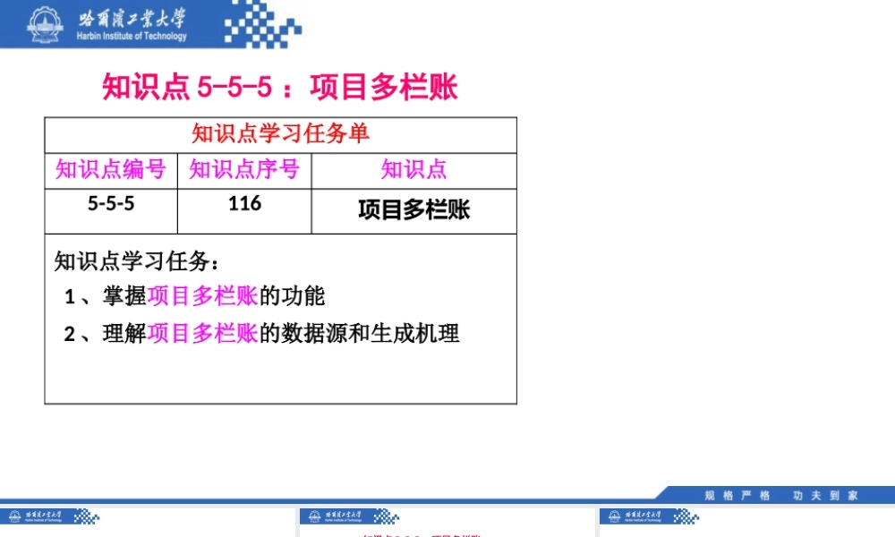 (116)5.5.5：项目多栏账.pptx