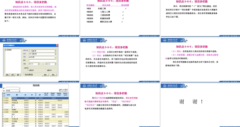 (116)5.5.5：项目多栏账.pptx