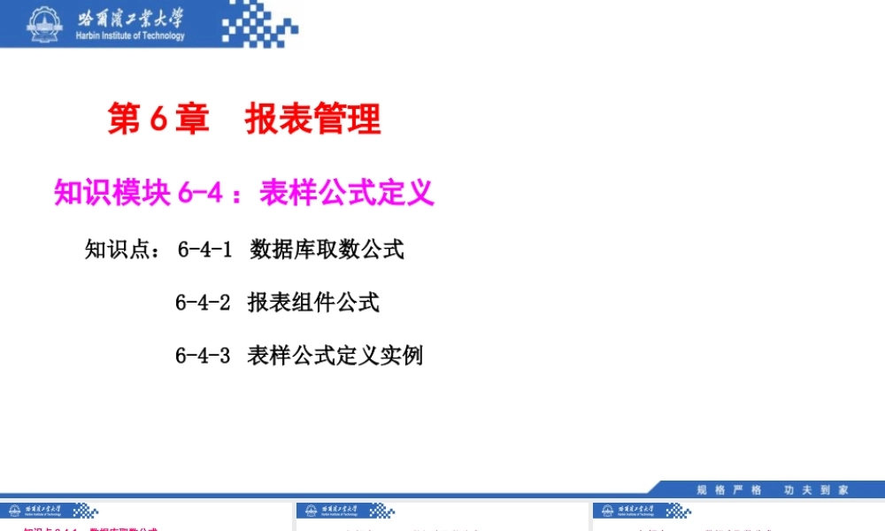 (126)6.4.1：数据库取数公式.pptx