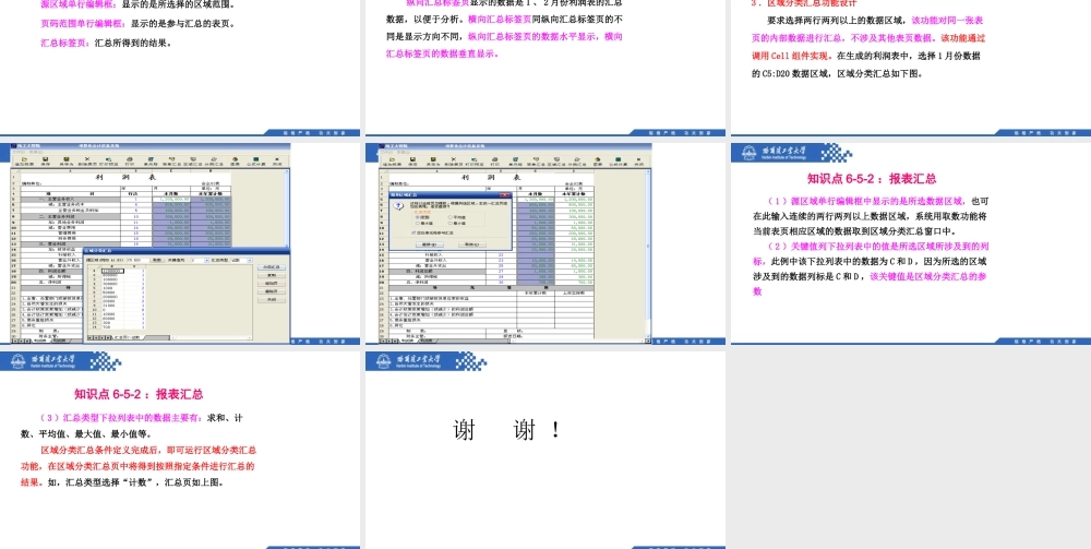 (130)6.5.2：报表汇总.pptx