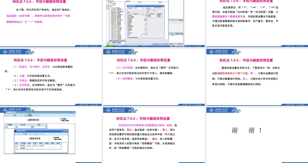 (146)7.2.4：字段与额度权限设置.pptx