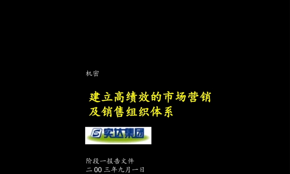 实达建立高绩效的市场营销及销售组织体系阶段一报告文件(1).ppt
