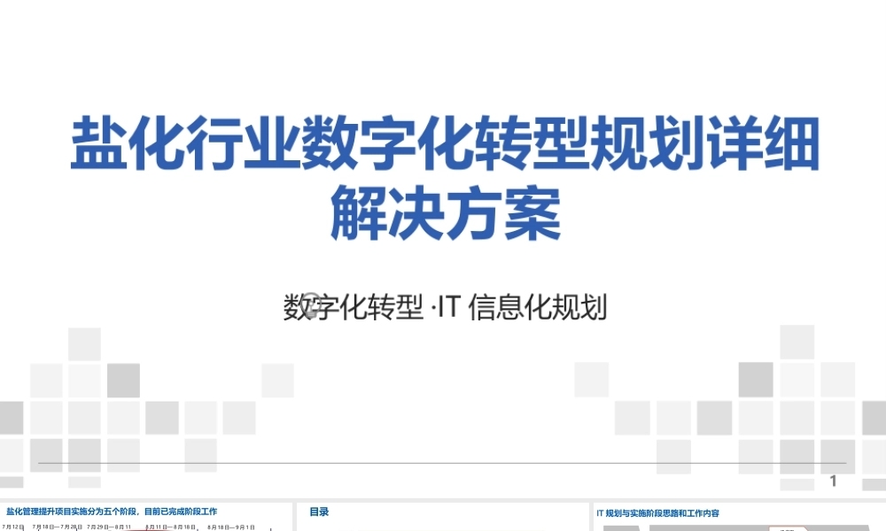 盐化行业数字化转型规划详细方案【124页PPT】.pptx