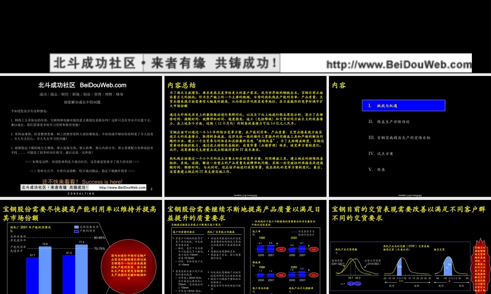 麦肯锡 宝钢股份精益生产诊断结果(2).ppt