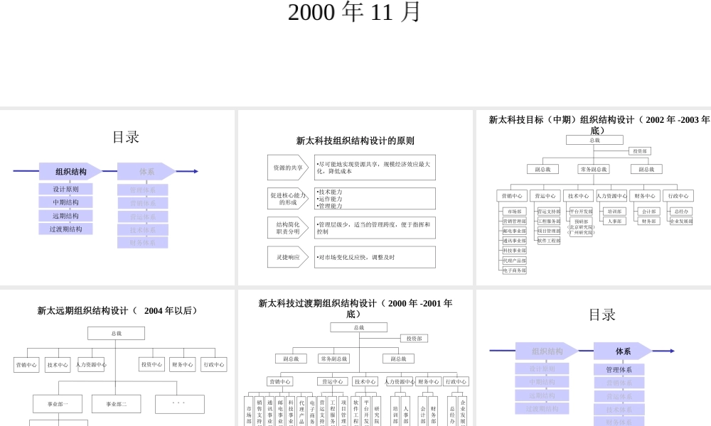 新太科技战略咨询组织结构设计.ppt