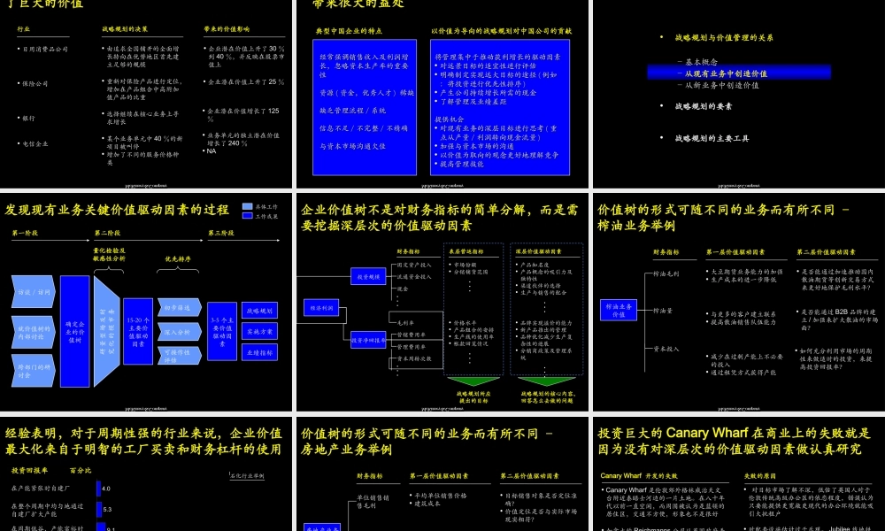 中国粮油以价值为导向的企业战略规划培训材料(1).ppt