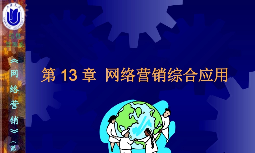 13第13章网络营销综合应用.ppt